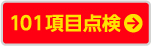 100項目点検